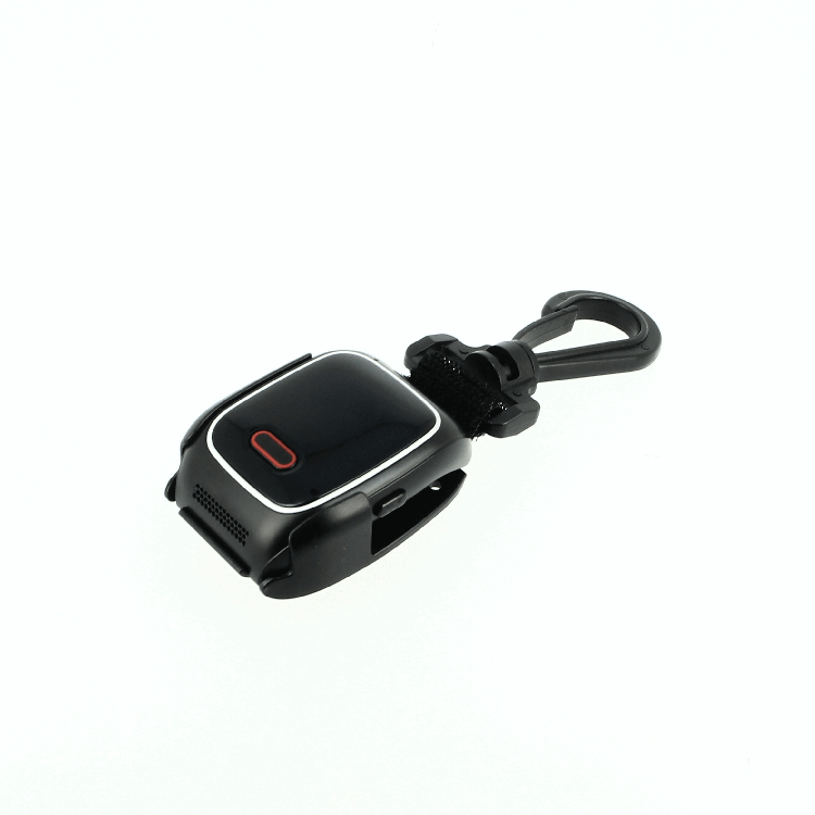 Carabiner Smart Fix System for the Safety Watch